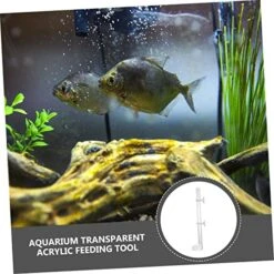 NOGRAX 1 Set Fish Tank Feeding Tube Clear Glass Clear Tray Auto Feeder Fish Feeder Tube Water Food Dish Acrylic Shrimp Feeding Tube Fish Feeding Supply Feeding Tube With Sucker Automatic Feeder (Colo -Zoo Shop 51nXBvlVEiL