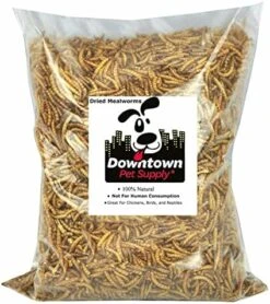 Downtown Pet Supply 2 LB Dried Mealworms For Wild Birds, Poultry, Reptiles, And Small Mammals Rich In Vitamin B12, B5, Protein, Fiber, Omega 3 Fatty Acids - Great As Mealworms For Chicken -Zoo Shop 51nmgqtgKL. AC 2