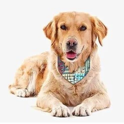 GENERIC Grunges Ethnic Pattern On Blur Dog Bandana,Dog Bandanas Triangle Bibs Scarf Accessories Minimal Head Cicumference 11 GENERIC Grunges Ethnic Pattern On Blur Dog Bandana,Dog Bandanas Triangle Bibs Scarf Accessories Minimal Head Cicumference -Zoo Shop 51nne8k7dUL