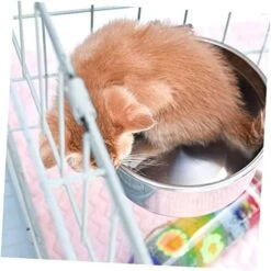 POPETPOP 3pcs Canary Food Trumpet Stand Budgie Cage Accessories Bird Cup Crate Dog Bowl Stainless Steel Pet Cage Bowl Bird Feeder Pet Bowl Hanging Bowl To Feed Water Dispenser Silver -Zoo Shop 51o7fRsV9rL. AC