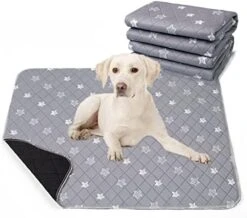 Lepark Washable Pee Pad For Dogs 2Pack Reusable Puppy Pads Pet Training Pads With Fast Absorbent Non-Slip And Waterproof(Orange,36x72) 24 Lepark Washable Pee Pad For Dogs 2Pack Reusable Puppy Pads Pet Training Pads With Fast Absorbent Non-Slip And Waterproof(Orange,36x72) -Zoo Shop 51oSEBa8heL. AC 1