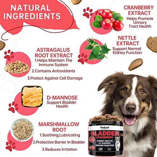 Cranberry For Dogs UTI Treatment - Urinary Tract, Bladder & Kidney Health Supplement. With Astragalus, D-Mannose, Supports UT Incontinence, Bladder Infections & Stones, Digestive Issues, 120 Chews 5 Cranberry For Dogs UTI Treatment - Urinary Tract, Bladder & Kidney Health Supplement. With Astragalus, D-Mannose, Supports UT Incontinence, Bladder Infections & Stones, Digestive Issues, 120 Chews - Image 3