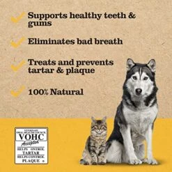 Dr. Pol ProDen PlaqueOff Powder For Pets - Cat And Dog Dental Care - Natural Tartar And Plaque Remover For Dogs Teeth & Gums - Cat Dental Care Food Additive - Pet Oral Health Supplement - 60g, White -Zoo Shop 51oYAfFPtcL