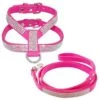 DOILNXH Suede Rhinestone Dog Harness And Leash Set Soft Diamante Pet Harness And Lead Step In For Small Medium Dogs Chihuahua Yorkshire Rose L -Zoo Shop 51ofhg2LmAL