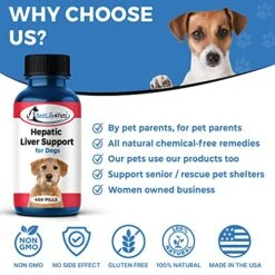 BestLife4Pets Hepatic Dog Liver Support - Dissolvable Homeopathic Liver And Digestive Canine Supplement For Liver Detox And Nutrient Absorption - 100% All Natural - Free Of Chemicals Or Additives 12 BestLife4Pets Hepatic Dog Liver Support - Dissolvable Homeopathic Liver And Digestive Canine Supplement For Liver Detox And Nutrient Absorption - 100% All Natural - Free Of Chemicals Or Additives -Zoo Shop 51op00wzDGL