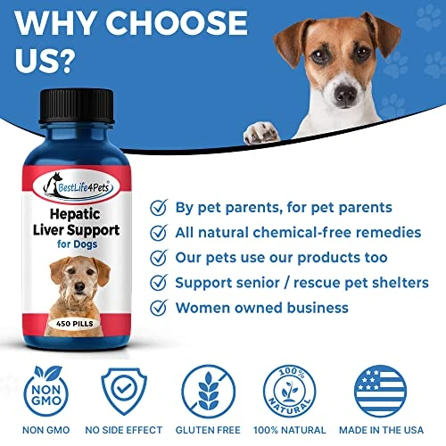 BestLife4Pets Hepatic Dog Liver Support - Dissolvable Homeopathic Liver And Digestive Canine Supplement For Liver Detox And Nutrient Absorption - 100% All Natural - Free Of Chemicals Or Additives 7 BestLife4Pets Hepatic Dog Liver Support - Dissolvable Homeopathic Liver And Digestive Canine Supplement For Liver Detox And Nutrient Absorption - 100% All Natural - Free Of Chemicals Or Additives - Image 5