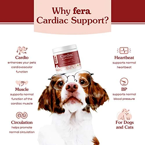 Fera Pets Cardiac Support Supplement For Dogs And Cats, Improves Blood Flow, Energy – With Taurine, CoQ10, Organic Hawthorn Berry, Supports Cardiovascular Heart Health – 60 Capsules 4 Fera Pets Cardiac Support Supplement For Dogs And Cats, Improves Blood Flow, Energy – With Taurine, CoQ10, Organic Hawthorn Berry, Supports Cardiovascular Heart Health – 60 Capsules - Image 2