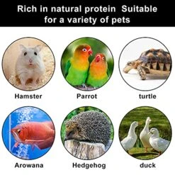 RANZ 5LBS Bulk Non-GMO Dried Mealworms For Chickens, High In Protein Mealworm Treats, Best For Wild Birds, Ducks, Hens, Fish, Turtle, Hedgehog, Hamster, Reptiles & Amphibian. -Zoo Shop 51p5BVZg5CL