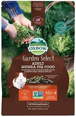 Oxbow Animal Health Garden Select Chinchilla Food, Garden-Inspired Recipe For Chinchillas Of All Ages, No Soy Or Wheat, Non-GMO, Made In The USA, 3 Pound Bag -Zoo Shop 51pCpmb1u4L. AC