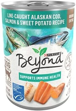 Purina Beyond Cod, Salmon And Sweet Potato Natural Ground Grain Free Wet Dog Food Pate - (12) 13 Oz. Cans -Zoo Shop 51pE8KJy4gL. AC