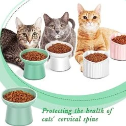 Lallisa 4 Pcs Ceramic Elevated Cat Bowls Tilted Elevated Raised Cat Bowls And Heart Cat Food Bowl Anti Vomit Cat Bowls Elevated Shallow Pet Water Dish For Cats Dogs Pet, Dishwasher And Microwave Safe -Zoo Shop 51pF8j0WdDL