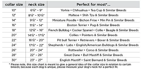 Dallas Luxury Leather Padded Dog Collar -Pink - 26" X 1.5" 5 Dallas Luxury Leather Padded Dog Collar -Pink - 26" X 1.5" - Image 3