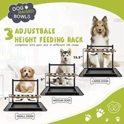Emfogo Dog Bowls Elevated Dog Bowls For Large Dogs 3 Heights5in 9in 13in Dog Food Bowls Dog Bowl Stand Raised Dog Bowls For Large Dogs 16.5x16 Inch -Zoo Shop 51ppG02211L