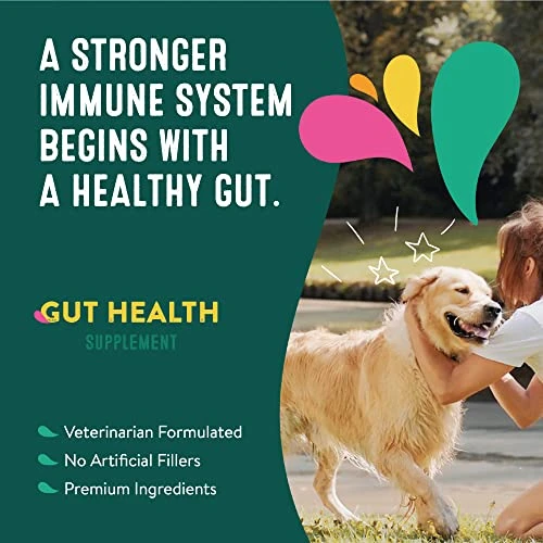 Happy Go Healthy Gut Health Supplements For Dogs | Prebiotic & Probiotic Food Topper With Ginger Root, Icelandic Seaweed, And Organic Kelp | All Breeds And Sizes | 60 Count 6 Happy Go Healthy Gut Health Supplements For Dogs | Prebiotic & Probiotic Food Topper With Ginger Root, Icelandic Seaweed, And Organic Kelp | All Breeds And Sizes | 60 Count - Image 4