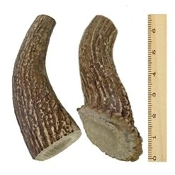 WhiteTail Naturals | Deer Antlers For Large Dogs (2 Pack- Jumbo XXL) All Natural Antler Dog Chew | Naturally Shed, Long Lasting Chew Bone, Made In USA -Zoo Shop 51q0t8hKn7L