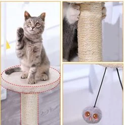 JYDQM Toy Climbing Furniture Cats Scratching Shape Interactive Toys Kitten Climbing Frame Cats Scratch Board (Color : A, Size : One Size) -Zoo Shop 51qVChtD3YL