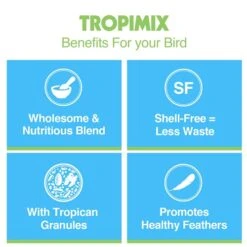 Hagen Tropimix Enrichment Food For Small Parrots, 4 Lb. (1.8 Kg) - HARI Small Parrot Food With Seeds, Fruit, Nuts, Vegetables, Grains, And Legumes -Zoo Shop 51qZkRX4d2S