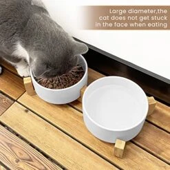 KPWACD Ceramic Pet Bowls For Dog And Cat, Raised Dog Food And Water Bowl Set With Anti-Slip Wooden Stand, White Pets Dish Feeding Bowls Suitable For Small, Medium And Big Cats Dogs, 28 OZ -Zoo Shop 51qbjamEZLL