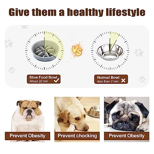 SEWIU Elevated Dog Bowls With 𝐒𝐥𝐨𝐰 𝐅𝐞𝐞𝐝𝐞𝐫,Raised Dog Bowls Stand Adjustable Height With Stainless Steel Dog Food Bowls,Dog Bowls For Small Medium Large Dogs.(Grey) 6 SEWIU Elevated Dog Bowls With 𝐒𝐥𝐨𝐰 𝐅𝐞𝐞𝐝𝐞𝐫,Raised Dog Bowls Stand Adjustable Height With Stainless Steel Dog Food Bowls,Dog Bowls For Small Medium Large Dogs.(Grey) - Image 4