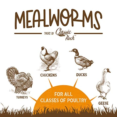 Classic Flock 5LB Dried Mealworms Non-GMO High Protein Treats For Chicken, Wild Birds, Ducks, Fish, Hedgehogs, Lizards, Reptiles 6 Classic Flock 5LB Dried Mealworms Non-GMO High Protein Treats For Chicken, Wild Birds, Ducks, Fish, Hedgehogs, Lizards, Reptiles - Image 4