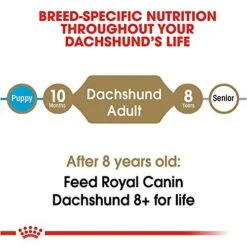 Royal Canin Dachshund Adult Breed Specific Dry Dog Food, 2.5 Lb Bag -Zoo Shop 51qjLhg6aFL
