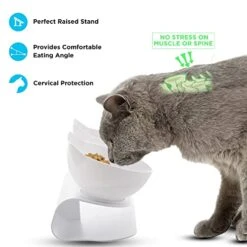 Cat Bowls, Raised Cat Bowl With Stand | Anti Vomiting Choking | Perfect Elevated & Tilted For Kittens Cats Small Dogs | Great For Water, Dry Wet Food Feeding Station | Double Plastic White Bowls -Zoo Shop 51qwf51FpgL