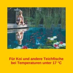 Sera 7009 KOI Professional Spring/Autumn 15.4 Lb 7 Kg Pet Food, One Size -Zoo Shop 51qxtdvsT4L