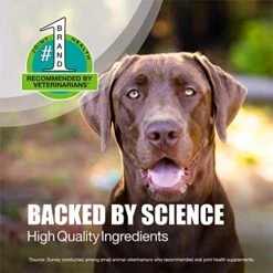 Nutramax Dasuquin Joint Health Supplement For Large Dogs - With Glucosamine, Chondroitin, ASU, Boswellia Serrata Extract, And Green Tea Extract, 84 Soft Chews -Zoo Shop 51qzxQ5tnVL