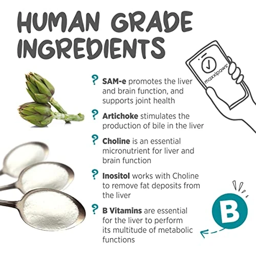 Maxxipaws MaxxiSAMe Advanced SAM-e Liver And Cognitive Supplement For Cats Given With Food, Powder 3.2 Oz 6 Maxxipaws MaxxiSAMe Advanced SAM-e Liver And Cognitive Supplement For Cats Given With Food, Powder 3.2 Oz - Image 4
