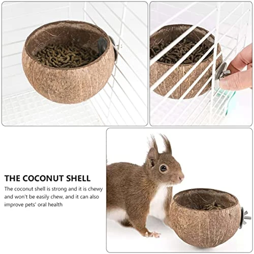 NOGRAX Rabbit Toy 6 Pcs Small Animals Small Animals Feeding Bowls Hamster Feeder Hamster Cage Bowls Feeder Shell Rabbit Toys Feeder (Color : As Shownx2pcs, Size : 11.5X11.5X8CMx2pcs) 4 NOGRAX Rabbit Toy 6 Pcs Small Animals Small Animals Feeding Bowls Hamster Feeder Hamster Cage Bowls Feeder Shell Rabbit Toys Feeder (Color : As Shownx2pcs, Size : 11.5X11.5X8CMx2pcs) - Image 2
