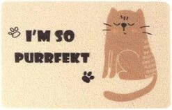 Cat Litter Catcher Rug Large Cat Litter Mat Large Cat Litter Mat Cat Litter Mat Soft PVC Rug Traps Litter From Box And Cats Scatter Control For Litter Box Beige Dog Food Bowl Mat 18 Cat Litter Catcher Rug Large Cat Litter Mat Large Cat Litter Mat Cat Litter Mat Soft PVC Rug Traps Litter From Box And Cats Scatter Control For Litter Box Beige Dog Food Bowl Mat -Zoo Shop 51r9BHWaeUL. AC