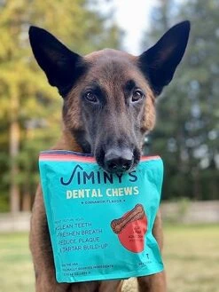 Jiminy's Dental Chews For Large Dogs – Cinnamon Dog Dental Chews, Teeth Cleaning Dog Treats, Reduce Tartar And Plaque, Made In USA, Cruelty Free, Dog Breath Freshener – 7 Count, 1-Pack -Zoo Shop 51rIVFLKtGL