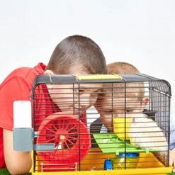 Rabbit Food Auto Feeder Hanging Automatic Water Feeder Dog Water Bottle Automatic Pet Water Bottle For Bird Hamster Guinea Pigs Chinchilla Parrot Sky- Blue Rabbit Water Bowl Parakeet Food 14 Rabbit Food Auto Feeder Hanging Automatic Water Feeder Dog Water Bottle Automatic Pet Water Bottle For Bird Hamster Guinea Pigs Chinchilla Parrot Sky- Blue Rabbit Water Bowl Parakeet Food -Zoo Shop 51rK4t1UJFL