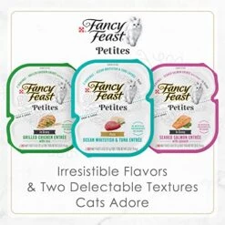 Purina Fancy Feast Gourmet Pate Wet Cat Food, Petites Tender Beef Entree - (12) 2.8 Oz. Tubs -Zoo Shop 51rQd4gKs7L