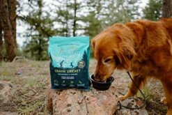 Jiminy's Dry Dog Food - Hypoallergenic Dog Food, 100% Made In The USA, Gluten-Free, Sustainable, Sensitive Stomach Dog Food, High Protein - Cravin' Cricket Insect Protein Oven-Baked Dog Food 10 Lb Bag 9 Jiminy's Dry Dog Food - Hypoallergenic Dog Food, 100% Made In The USA, Gluten-Free, Sustainable, Sensitive Stomach Dog Food, High Protein - Cravin' Cricket Insect Protein Oven-Baked Dog Food 10 Lb Bag -Zoo Shop 51rjK1TvfBL 1