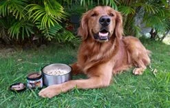 Northern Cascades Dog Immunity Supplement Supporting Superfood Mushroom To Strengthen K9 Immune System And Increase Vitality 10 Northern Cascades Dog Immunity Supplement Supporting Superfood Mushroom To Strengthen K9 Immune System And Increase Vitality -Zoo Shop 51rsru1G1rL