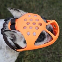 JYHY Short Snout Dog Muzzles,Soft Silicone Adjustable Breathable Bulldog Muzzle For Biting Chewing Barking Training,Ideal For Flat-Faced Dogs (L, Orange) -Zoo Shop 51s5qAPanaL