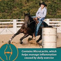 Farnam Next Level Performance Joint Pellets 3.75 Pounds 30 Day -Zoo Shop 51sFVFEHpdS