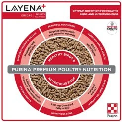 Purina Layena+ | Nutritionally Complete Layer Hen Feed | Omega 3 Formula - 40 Pound (40 Lb) Bag -Zoo Shop 51sL45BWRaL