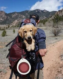 Collapsible Dog Bowl With Stand, Portable Foldable Food Dishes With Carabiner Clip, Pet Bowl With A Support, Travel Dog Cat Water Bowl (Pink) 17 Collapsible Dog Bowl With Stand, Portable Foldable Food Dishes With Carabiner Clip, Pet Bowl With A Support, Travel Dog Cat Water Bowl (Pink) -Zoo Shop 51sREWoVXYL