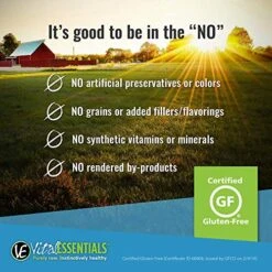 Vital Cat Freeze-Dried All-Natural Minnows Cat Treats, 0.5 Oz. -Zoo Shop 51sWeIFzVmL 1