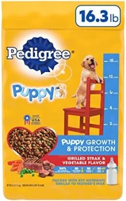 Pedigree Puppy Growth & Protection Dry Dog Food Grilled Steak & Vegetable Flavor, 14 Lb. Bag -Zoo Shop 51tGChAUL. AC 1