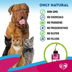 Cat & Dog Urinary Tract Infection Treatment & Natural UTI Medicine Cranberry-Kidney+Bladder Support Supplement - Best Prevention Incontinence, Bladder Stones - Pet Renal Health & UTI Care Drops 11 Cat & Dog Urinary Tract Infection Treatment & Natural UTI Medicine Cranberry-Kidney+Bladder Support Supplement - Best Prevention Incontinence, Bladder Stones - Pet Renal Health & UTI Care Drops -Zoo Shop 51tHVV19HEL