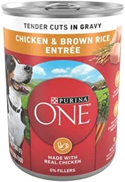 Purina ONE Tender Cuts In Wet Dog Food Gravy Chicken And Brown Rice Entree - (12) 13 Oz. Cans 13 Purina ONE Tender Cuts In Wet Dog Food Gravy Chicken And Brown Rice Entree - (12) 13 Oz. Cans -Zoo Shop 51tMFs9wVkL. AC