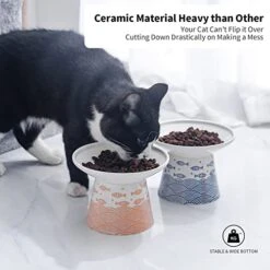 6.25 Inch Extra Wide Ceramic Raised Cat Food Bowls, Elevated Porcelain Cat Feeding Dish, Heavy Pet Feeder Bowl For Elder Big Cats,Small Dogs, Anti Vomiting, Protect Pet's Spine, 2 Pack(Blue&Orange) -Zoo Shop 51tefUYaCIL