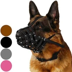CollarDirect Dog Muzzle German Shepherd Dalmatian Doberman Setter Leather Basket Medium Large Breeds Black Brown (M, Chestnut Brown) -Zoo Shop 51tkvnfvTKL. AC 1