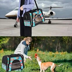 Pet Carrier Japanese Cuisine Sushi Octopus Sashimi Seafoods Pattern Soft-Sided Pet Travel Carriers For Cats,Dogs Puppy Comfort Portable Foldable Pet Bag Airline Approved -Zoo Shop 51tnpby1wdS