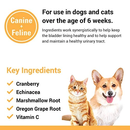 Vet Classics Cranberry Comfort Urinary Tract Pet Supplement For Dogs, Cats – Maintains Dog Bladder Health, Cat Bladder Control – Pet Supplements For Incontinence – 65 Soft Chews 4 Vet Classics Cranberry Comfort Urinary Tract Pet Supplement For Dogs, Cats – Maintains Dog Bladder Health, Cat Bladder Control – Pet Supplements For Incontinence – 65 Soft Chews - Image 2