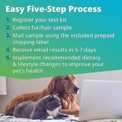 5Strands Pet Nutrition Deficiency Test, 40 Vitamins And Minerals Tested, At Home Dog Or Cat Hair Sample Collection Kit, Results In 7 Days, Works For All Ages And Breeds - Supplements, Diet 7 5Strands Pet Nutrition Deficiency Test, 40 Vitamins And Minerals Tested, At Home Dog Or Cat Hair Sample Collection Kit, Results In 7 Days, Works For All Ages And Breeds - Supplements, Diet -Zoo Shop 51twenAbEQL