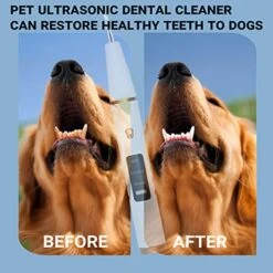 HURKEYE Dog Tooth Plaque Remover, Pet Ultrasonic Tooth Cleaner, Dog Teeth Cleaning Kit, Dental Tartar Remover For Teeth Stains For Dogs And Cats, Dog Tooth Brushing Kit -Zoo Shop 51uA9NYGL4L